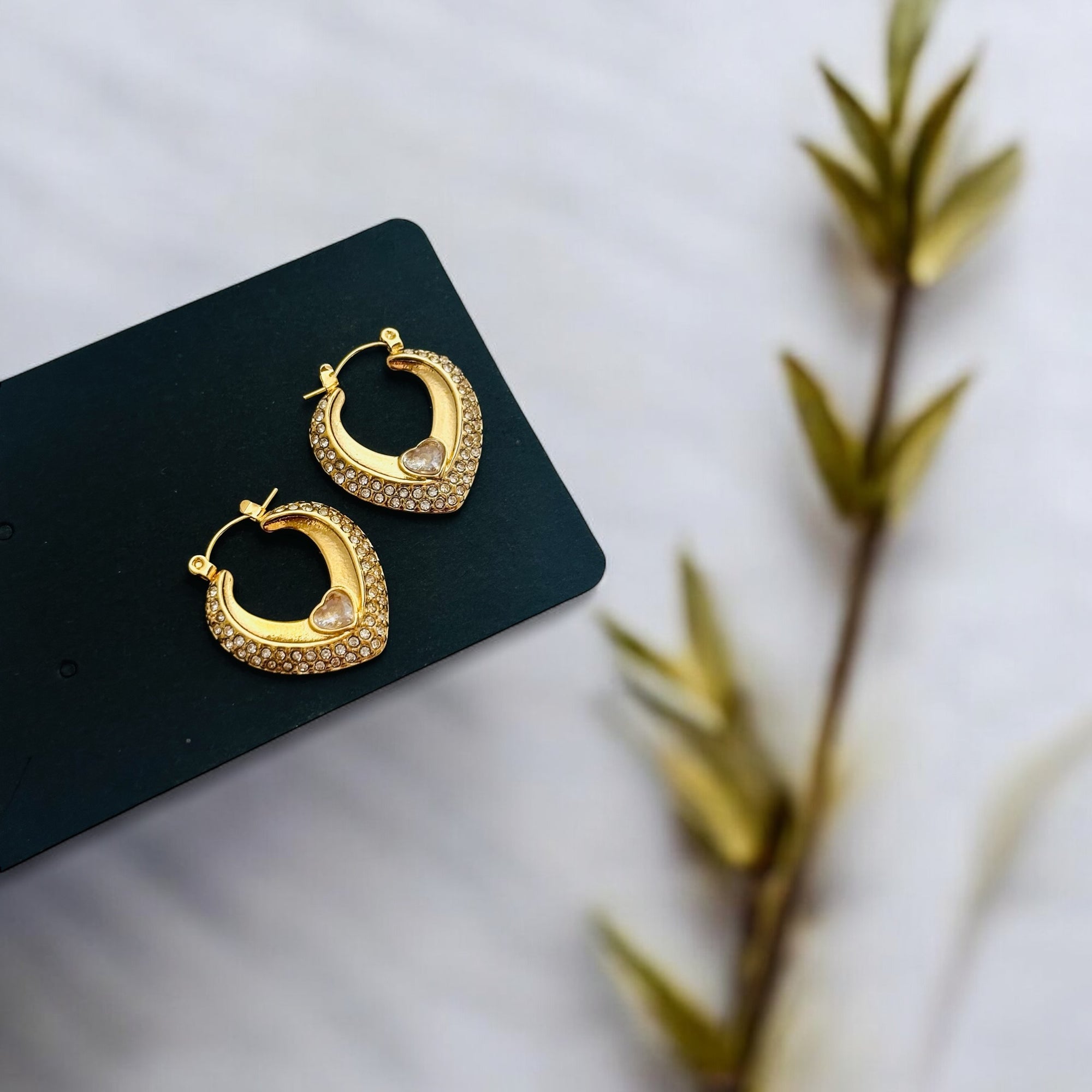 Earrings